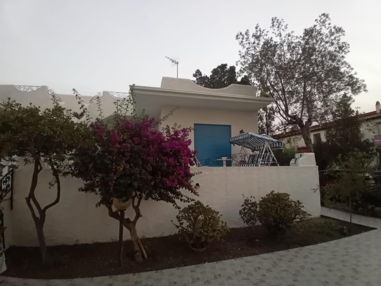 Villa Bouganville أوليفيري المظهر الخارجي الصورة